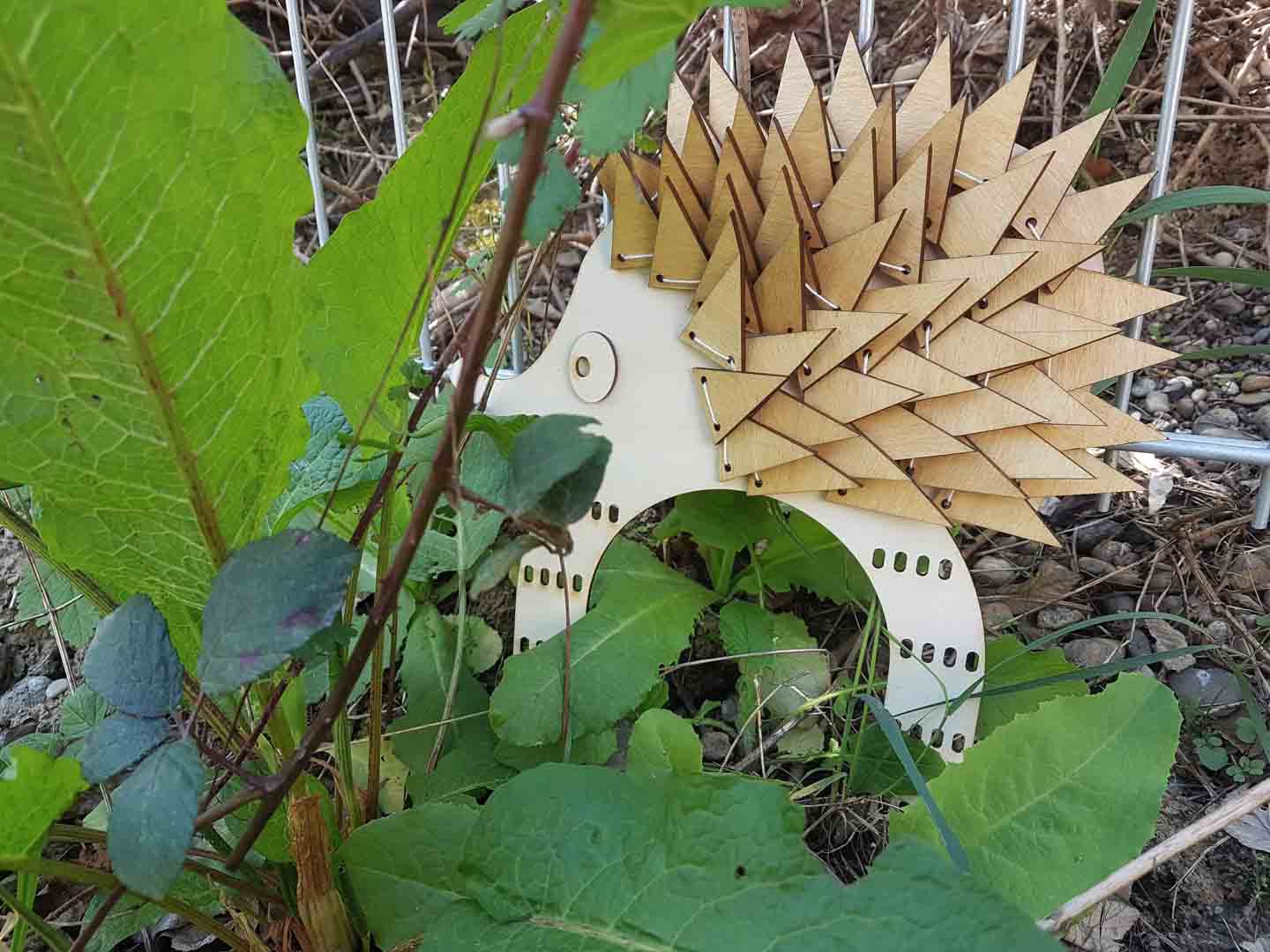Image 1